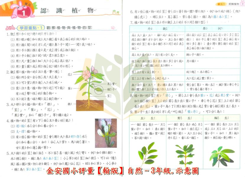 金安國小 國小評量 講義式評量 適用康軒 翰林 南一114上 國小1~6年級 數學 自然 附解答 附5回月考複習卷 
