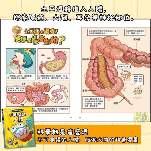 京采國小【科學就是這麼逗】腦洞大開的科普漫畫1~4冊｜不可思議的人體/地球神秘事件/宇宙超有料/改變生活的黑科技【圖書】 科普漫畫、小學生科學、科學啟蒙、趣味科學、生活科學、宇宙科技、親子共讀、科學素養、科普入門、漫畫學科學