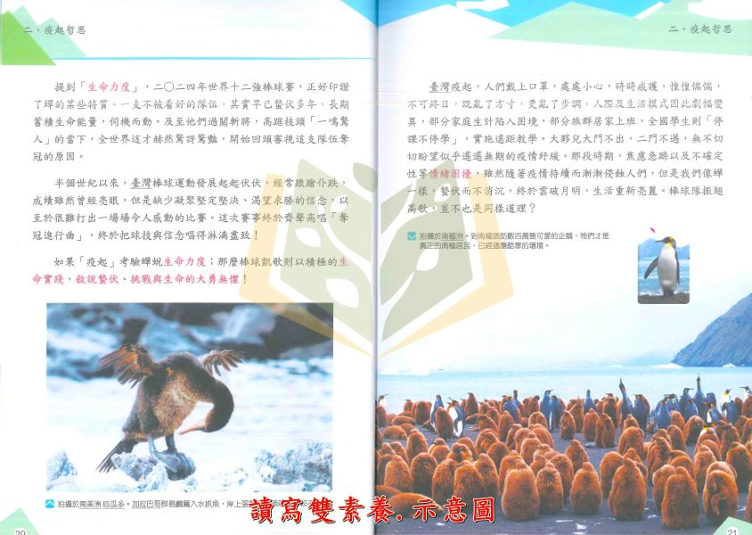 南一國中 成長綠皮書【讀寫雙素養】｜小六銜接 升國中｜附解答【國中國文輔材】 