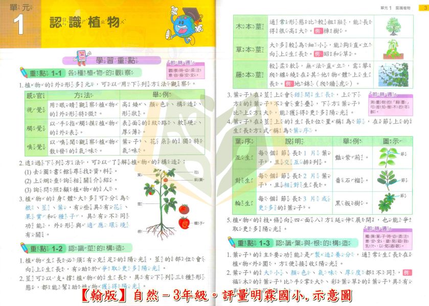 明霖國小 國小評量 課堂評量 適用翰林 114上 113下 國小1~6年級 國語 數學 生活 自然 社會 附解答 附5回月考複習卷+1回全冊複習卷 