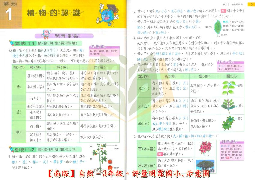 明霖國小 國小評量 課堂評量 適用南一 114上 113下 國小1~6年級 國語 數學 生活 自然 社會 附解答 附5回月考複習卷+1回全冊複習卷 