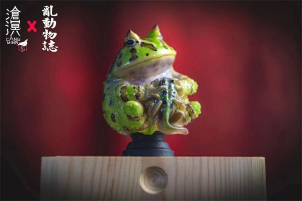 【預定】滄溟 角蛙與蝌蚪 
