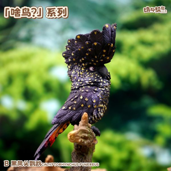 【海外代購】傑刻動漫 動物幫農場 啥鳥？系列第六彈 白鳳頭&黑鳳頭鸚鵡 