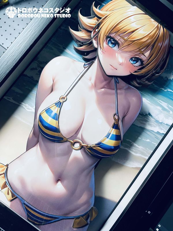 【海外代購】泥棒貓 DSMG-063 井河櫻 Ver.水著 立體裝飾畫 
