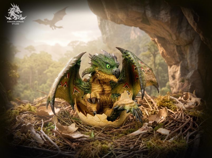 【預定】Dragon Realm 高級私人訂製 初生龍蛋系列 雄火龍— 亞種蒼火龍— 稀有個體銀火龍 雌火龍— 亞種櫻火龍— 稀有個體金火龍 