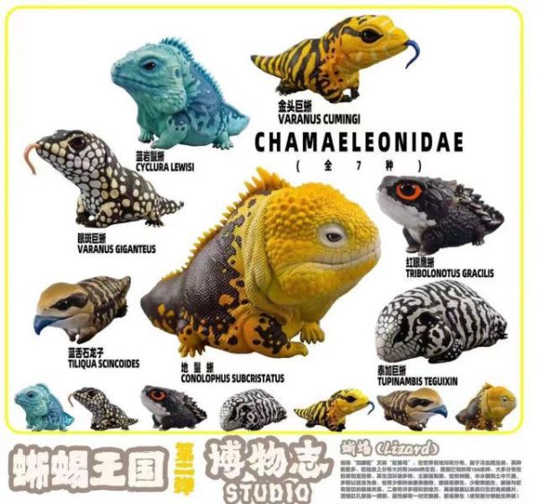 【海外代購】【7.4-10.4CM】博物誌 蜥蜴王國第2彈強襲來襲 