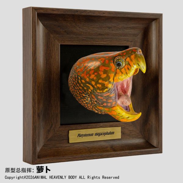 【預定】動物星雲 《框爬藝術展》系列 第1彈 