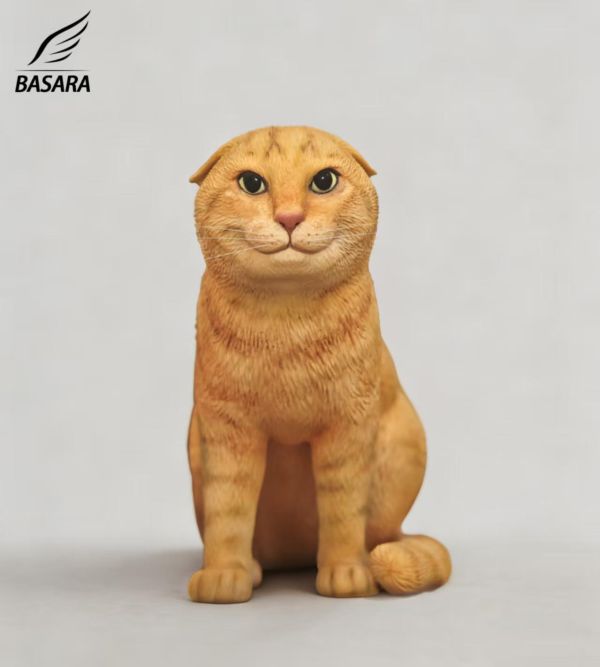 【預定】BASARA 圓頭耄耋 