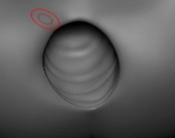 【R18-預定】PlayStudio Real intention 畫師司馬ゆうじ 直情真気 