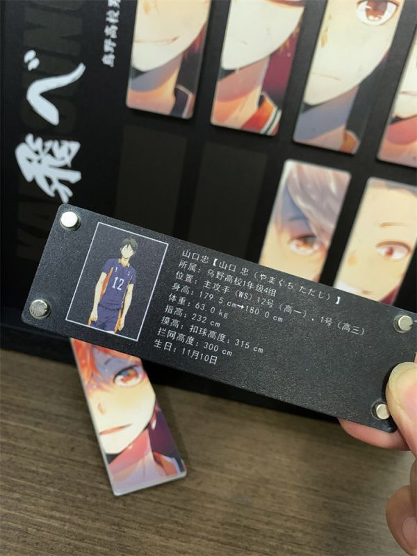 【海外代購】神秘畫廊 排球少年烏野高校 壓克力 裝飾畫 01 