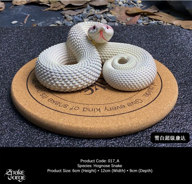 【預定】萬蛇谷 snakegorge 017 豬鼻蛇 