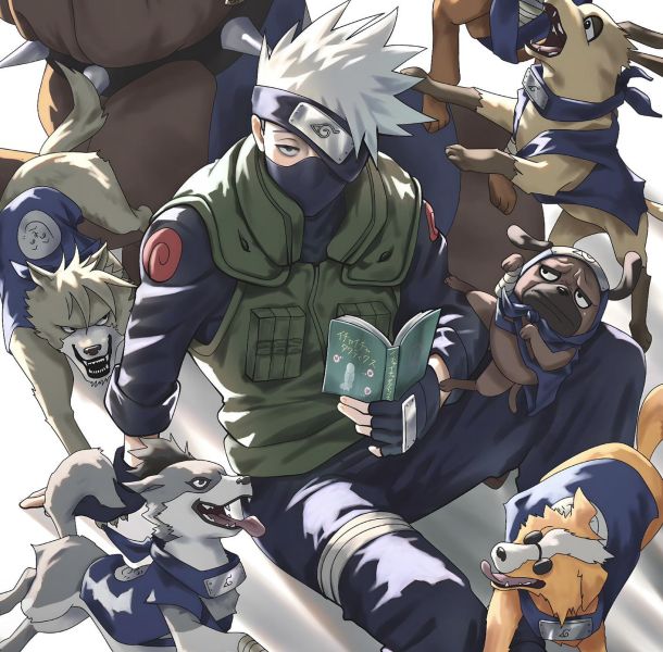 【海外代購】H2 《卡卡西與忍犬》火影忍者旗木卡卡西鳴人佐助動畫裝飾畫 