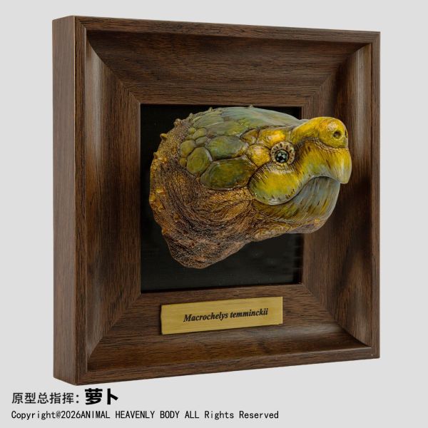 【預定】動物星雲 《框爬藝術展》系列 第1彈 
