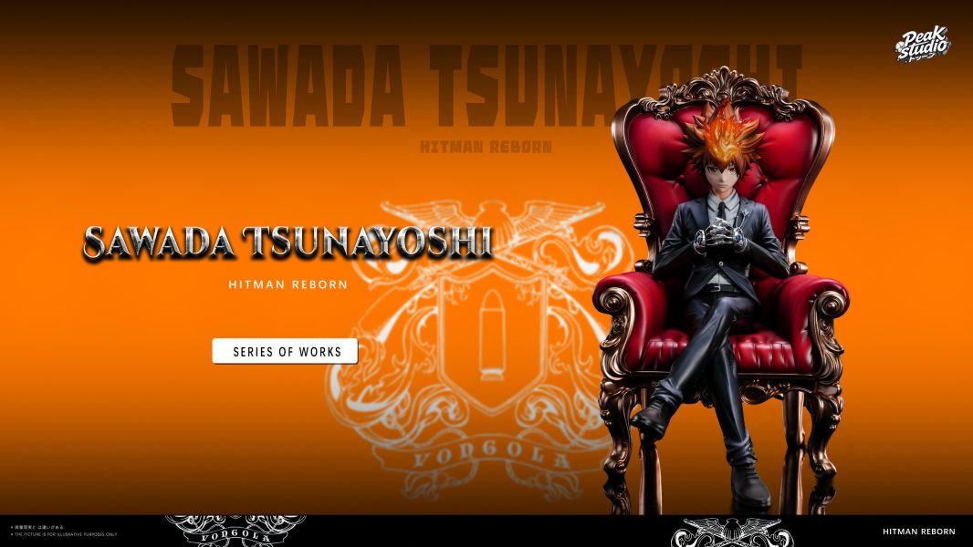 【預定】Peak 彩虹之子 沢田綱吉 Sawada Tsunayoshi 