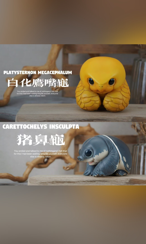 【海外代購】博物志 2024噸動噸物園龜2 第2彈 鷹龜嘴和豬鼻龜 