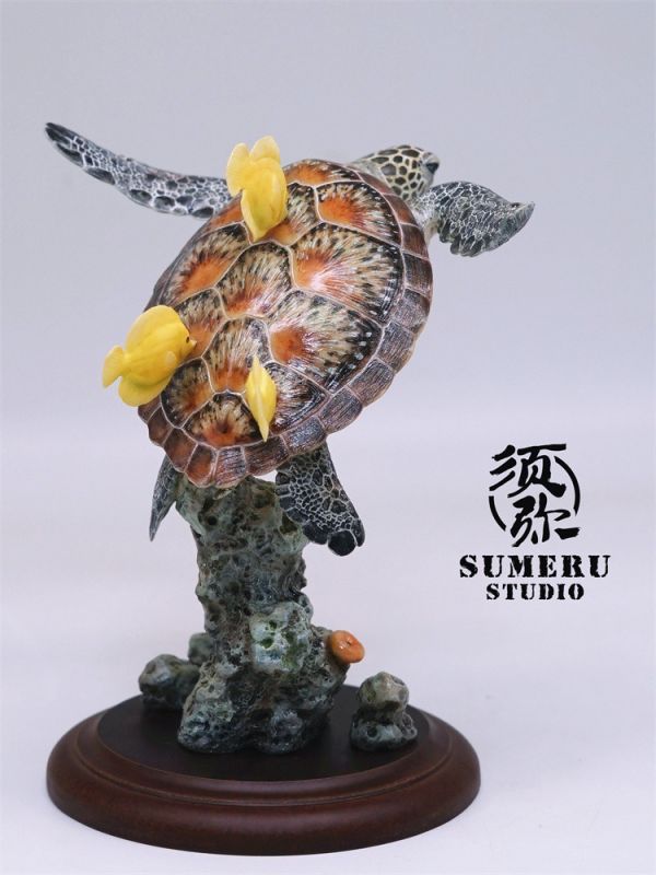 【預定】須彌 海洋系列 綠海龜 