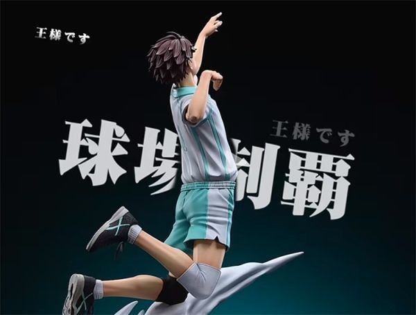 【台灣現貨】HIKARI 排球少年 第三彈 及川徹 