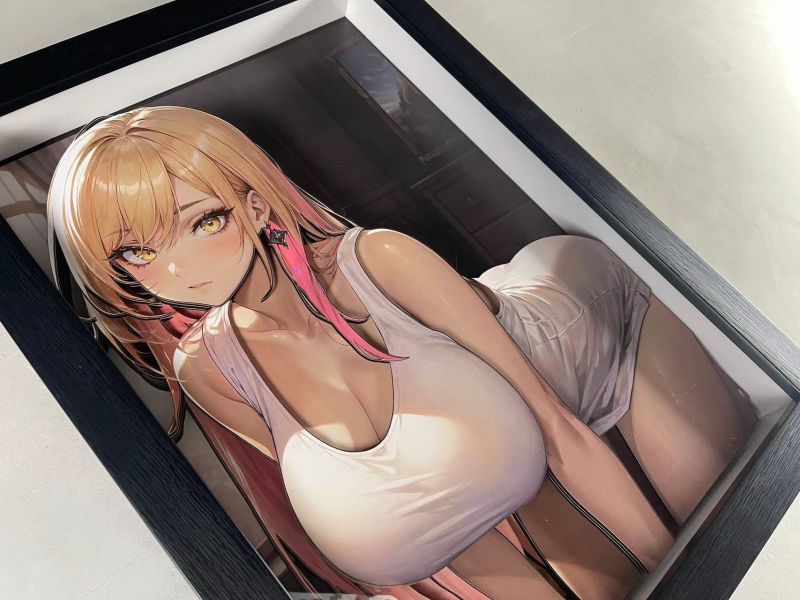 【海外代購】泥棒貓 DSMG-056 喜多川海夢 立體裝飾畫 