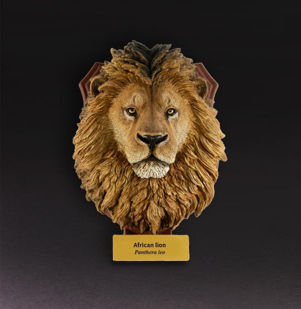 【預定】動物星雲 世界動物大圖鑑第2彈 