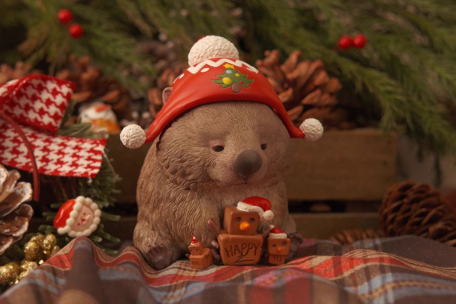 【預定】博物誌 2025聖誕節限定藏狐藍腳鳥灰鸚鵡巨人守宮河馬袋熊 