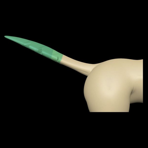 【R18-預定】靈魔 葉精靈臀模 