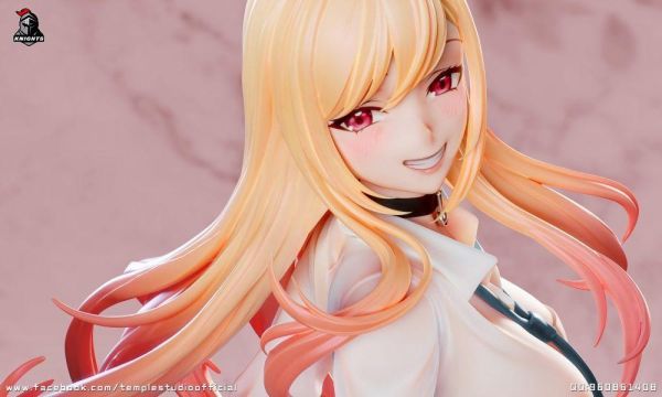 【台灣現貨】騎士聯盟 年度特別版 NO S01 喜多川海夢 