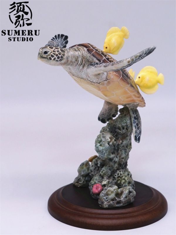 【預定】須彌 海洋系列 綠海龜 