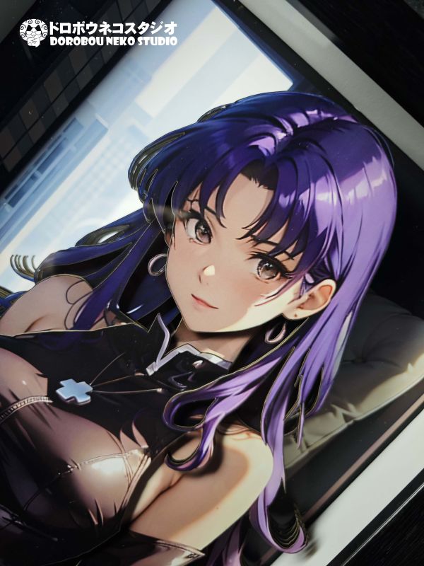 【海外代購】泥棒貓 DSMG-094 EVA 葛城美利 立體裝飾畫 