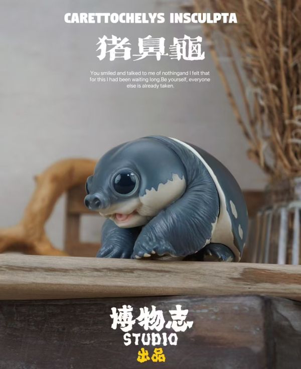 【海外代購】博物志 2024噸動噸物園龜2 第2彈 鷹龜嘴和豬鼻龜 