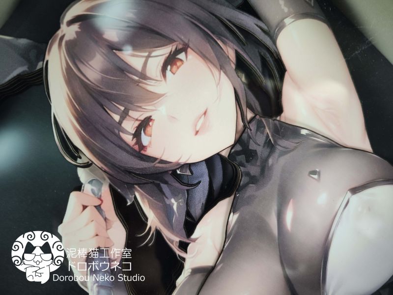 【海外代購】泥棒貓 DSHT-002 對魔忍水城不知火 立體畫 