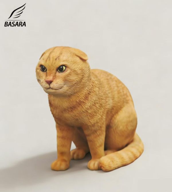 【預定】BASARA 圓頭耄耋 