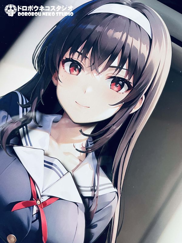 【海外代購】泥棒貓 DSMG-092 霞之丘詩羽 立體裝飾畫 