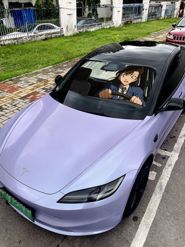 【海外代購】千鳥社 《汽車前擋遮陽－新一小蘭》二次元汽車遮陽防曬前擋開車工藤新一小蘭婚禮名偵探柯南 