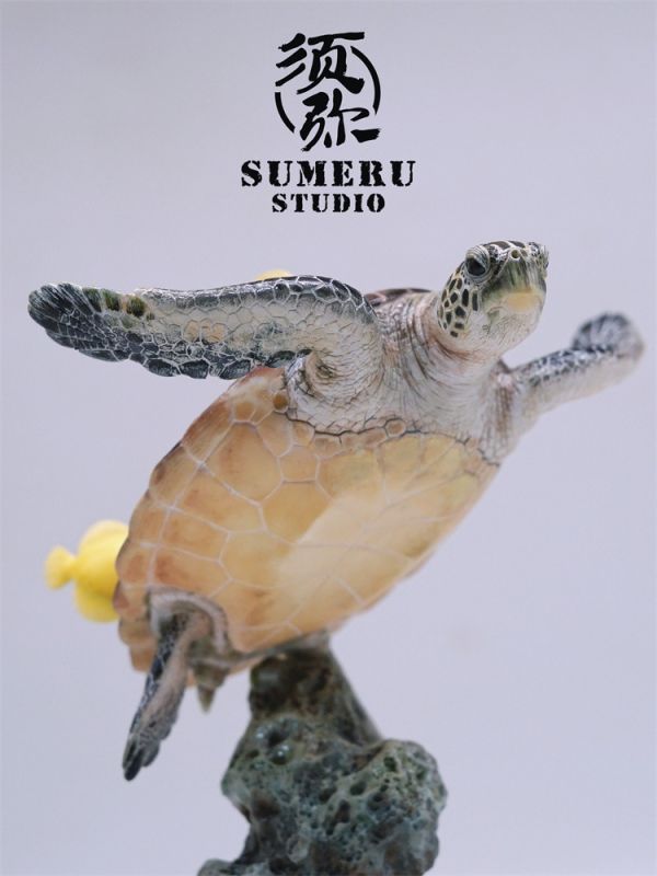 【預定】須彌 海洋系列 綠海龜 
