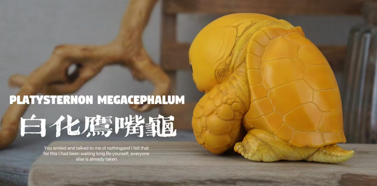 【海外代購】博物志 2024噸動噸物園龜2 第2彈 鷹龜嘴和豬鼻龜 