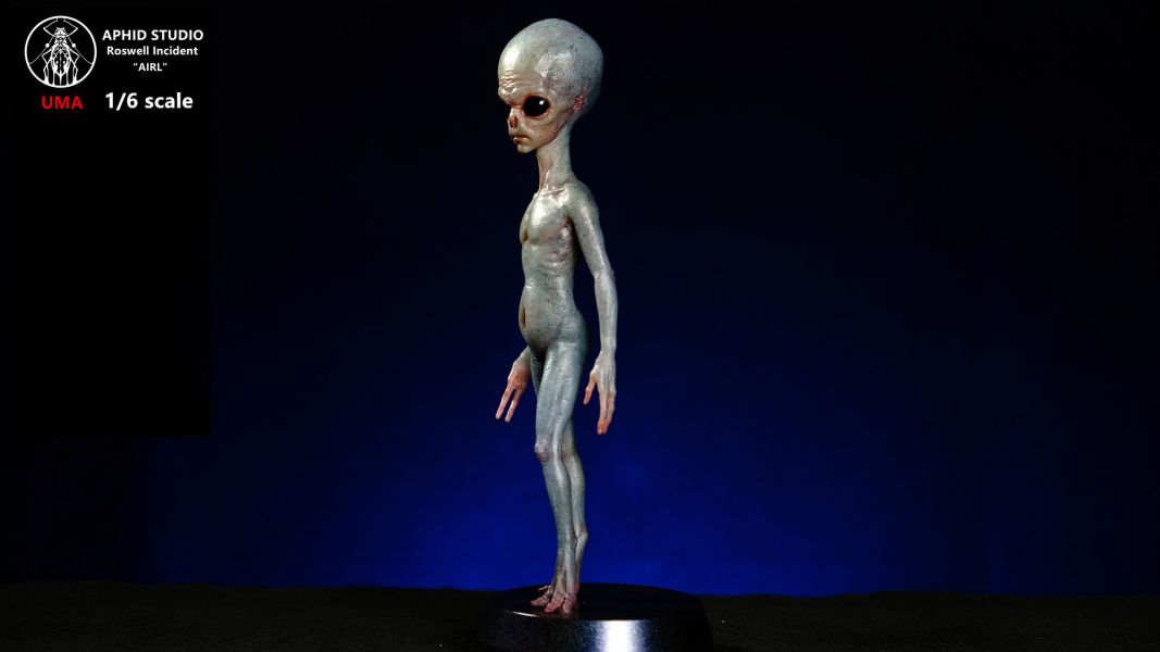 【預定】APHID 未知生物系列第2彈-羅斯威爾外星人 