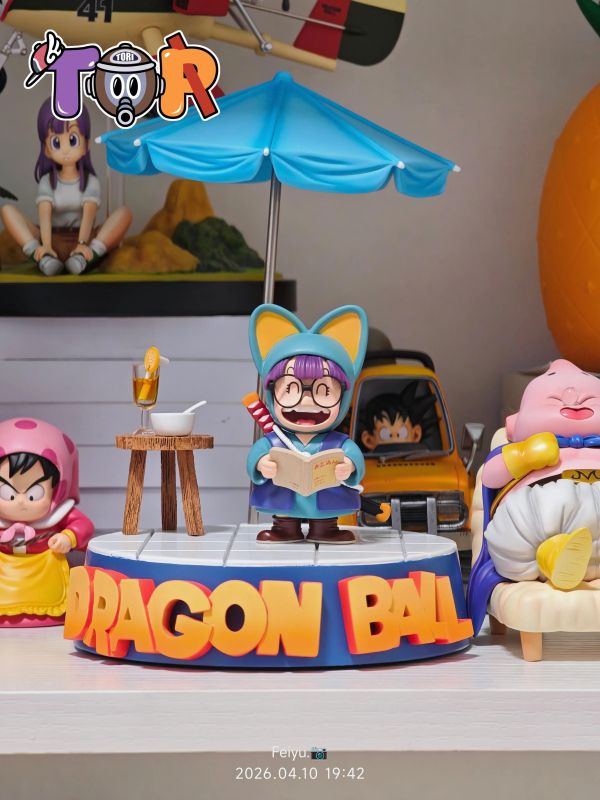 【預定】TOR 捧書阿拉蕾  阿拉蕾系列 