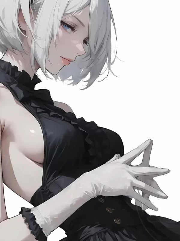 【海外代購】星空 《黑裙2B》YoRHa尼爾機械紀元裝飾畫 