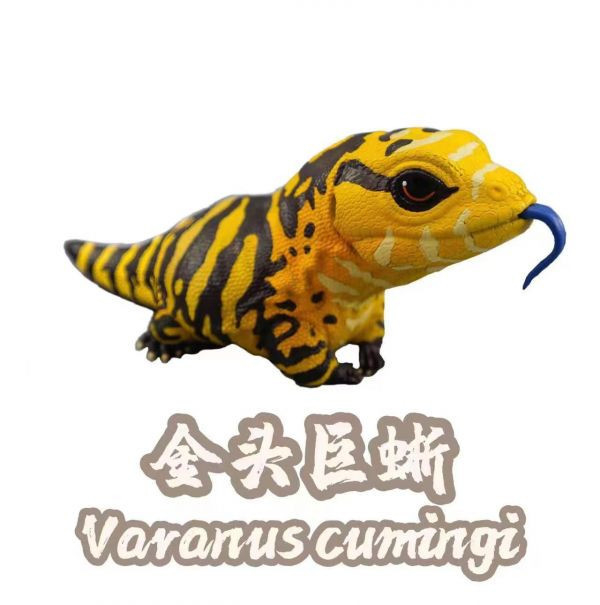 【海外代購】【7.4-10.4CM】博物誌 蜥蜴王國第2彈強襲來襲 