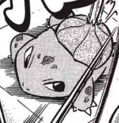 【預定】Original 妙蛙種子特別篇 