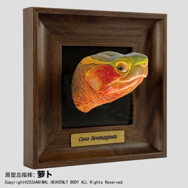 【預定】動物星雲 《框爬藝術展》系列 第1彈 
