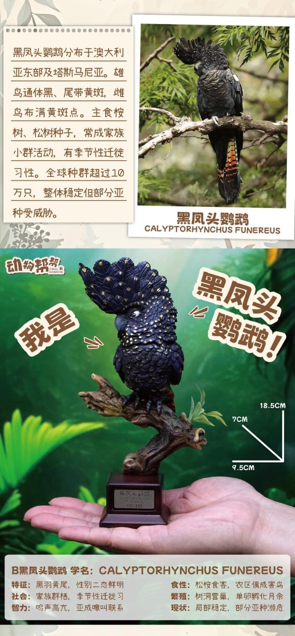 【海外代購】傑刻動漫 動物幫農場 啥鳥？系列第六彈 白鳳頭&黑鳳頭鸚鵡 