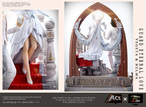 【海外代購】【39CM】ACE 暴龍社 龍珠之戀 貝吉塔 布瑪 