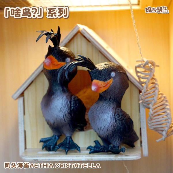【海外代購】傑刻動漫 動物幫幫農場 啥鳥？ 系列第八彈 鳳頭海雀 