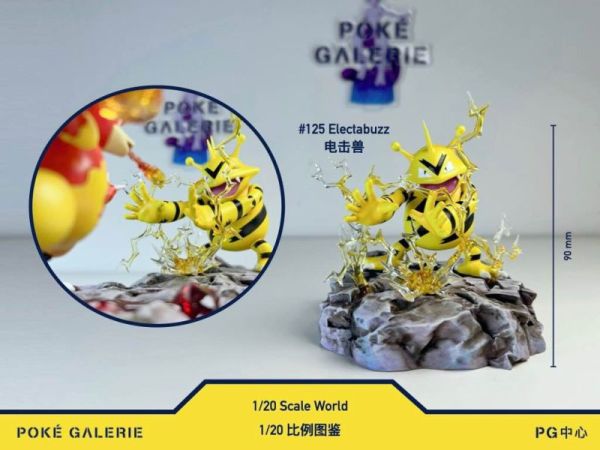 【預定】PG中心 玩得 電擊獸 鴨嘴火龍對戰 