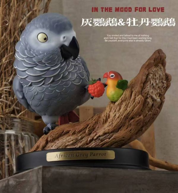【預定】博物誌 特別版群鸚薈萃 