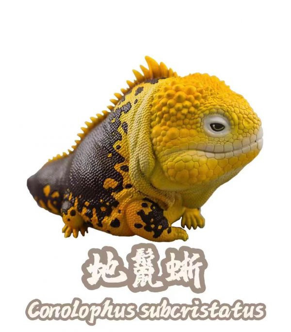 【海外代購】【7.4-10.4CM】博物誌 蜥蜴王國第2彈強襲來襲 