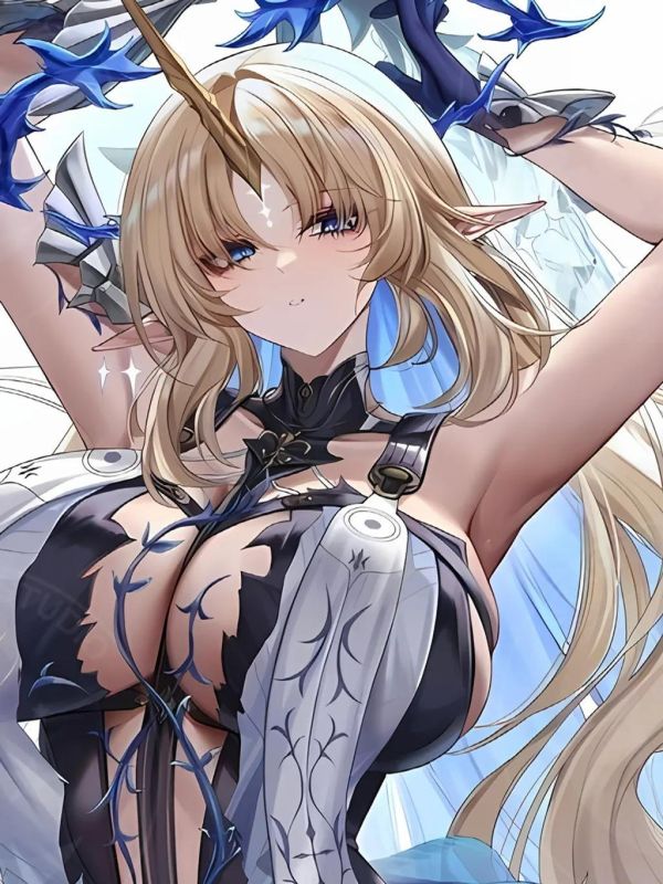 【海外代購】星空 《藍衣卡提希婭》鳴潮Cartethyia裝飾畫 