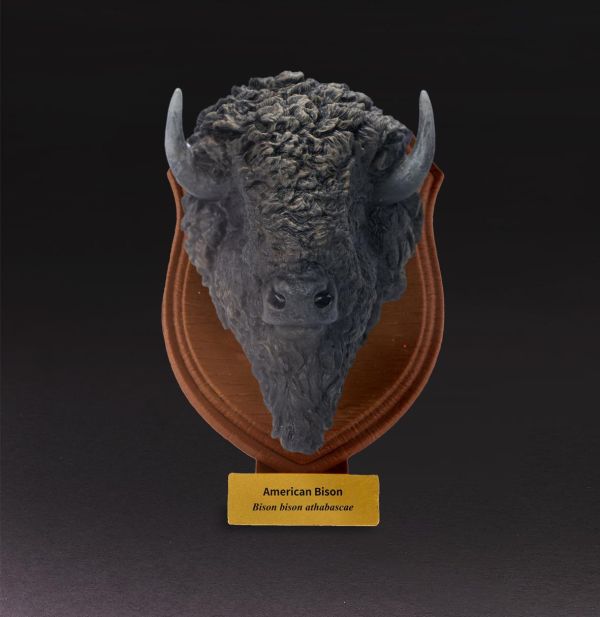【預定】動物星雲 世界動物大圖鑑第4彈 