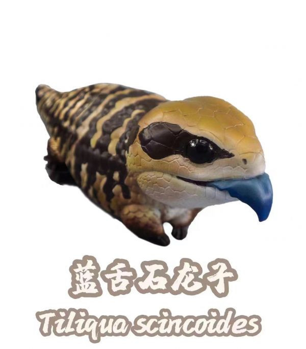 【海外代購】【7.4-10.4CM】博物誌 蜥蜴王國第2彈強襲來襲 